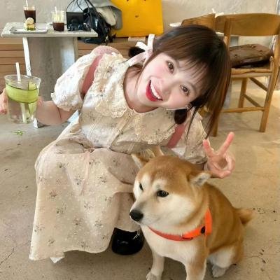 战地女护士